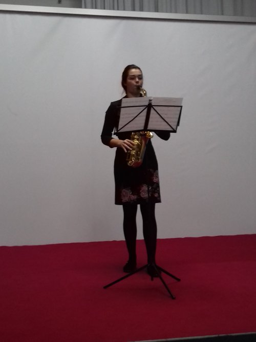 20171123 095407_500x667