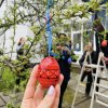 13 квітня в межах проведення “Благодійної Великодньої акції-2023” відбулося традиційне прикрашання писанками дерева до Великодня.